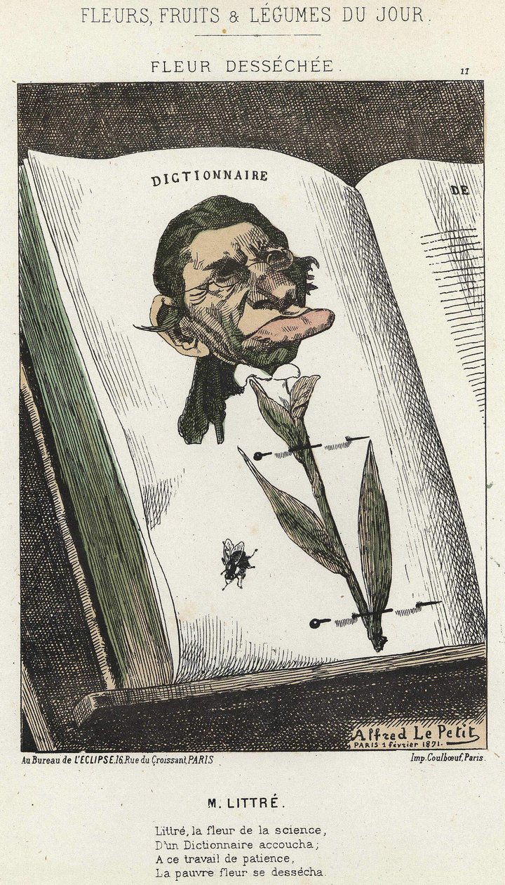 Flor desecada: caricatura sobre Littré - ilustración de 01/02/1871 en “Flores, Frutas y Verduras del Día” de Alfred Le Petit