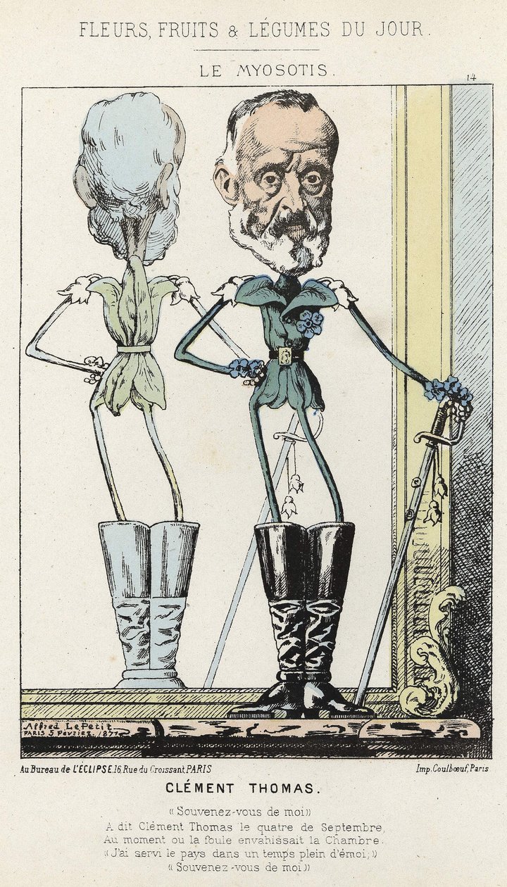El Nomeolvides: caricatura sobre Clément Thomas - ilustración de 03/02/1871 en “Flores, Frutas y Verduras del Día” de Alfred Le Petit