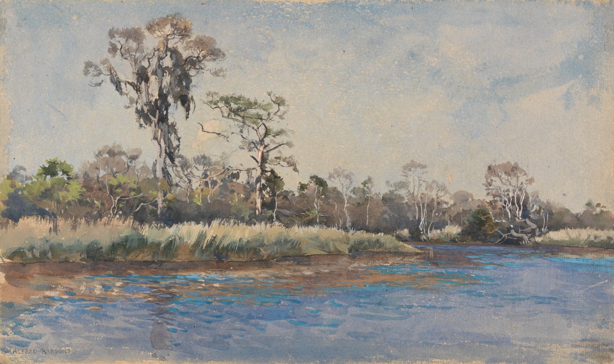 Un arroyo en Wilmington, Carolina del Norte de Alfred Parsons