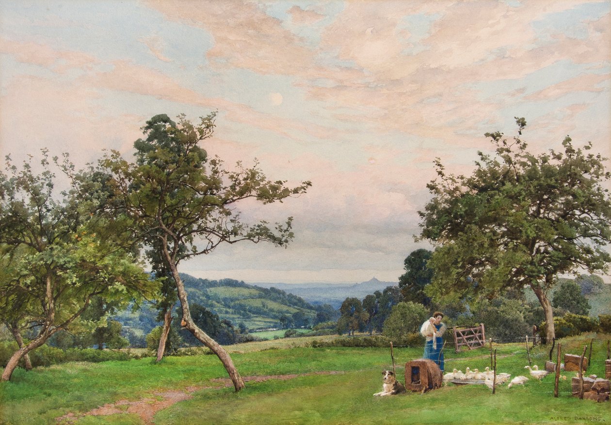 La pluma de pato (acuarela) de Alfred Parsons
