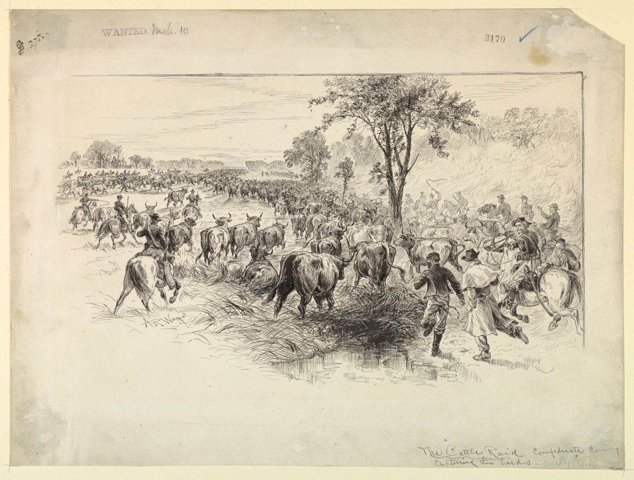 La Incursión de Ganado por la Caballería Confederada de Alfred R. Waud
