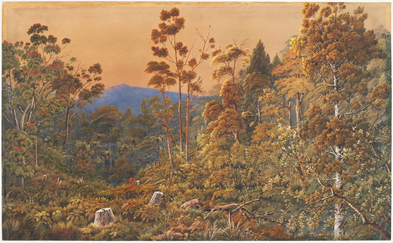 Una tarde dorada, Isla Waiheke de Alfred Sharpe