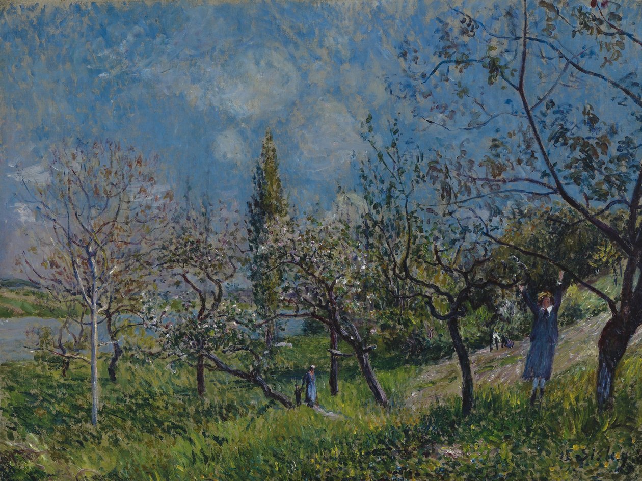 Un huerto en primavera de Alfred Sisley