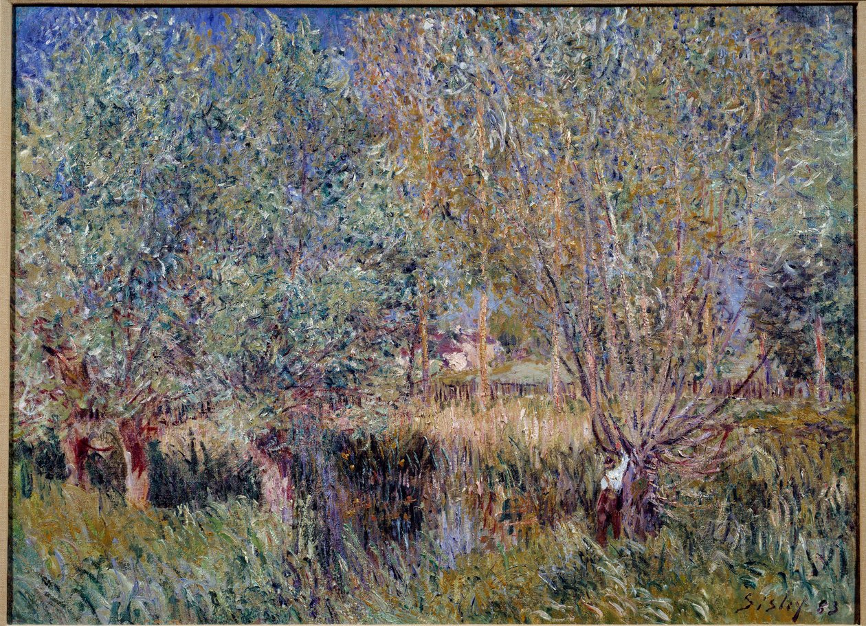 Sauces en las orillas del río Orvanne. Pintura de Alfred Sisley (1839 - 1899) de Alfred Sisley