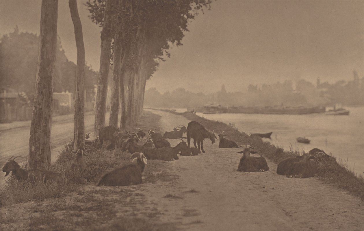 Un panel decorativo de Alfred Stieglitz