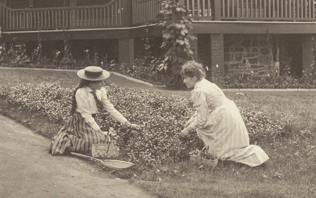 Un parterre en Oaklawn de Alfred Stieglitz