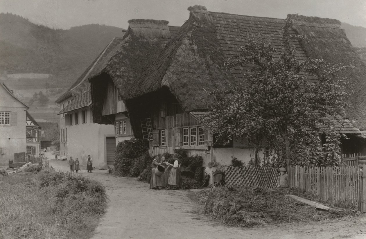 Una reunión en Gutach de Alfred Stieglitz
