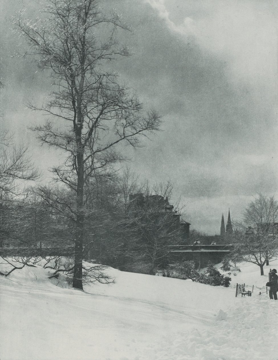 Un cielo invernal — Central Park de Alfred Stieglitz
