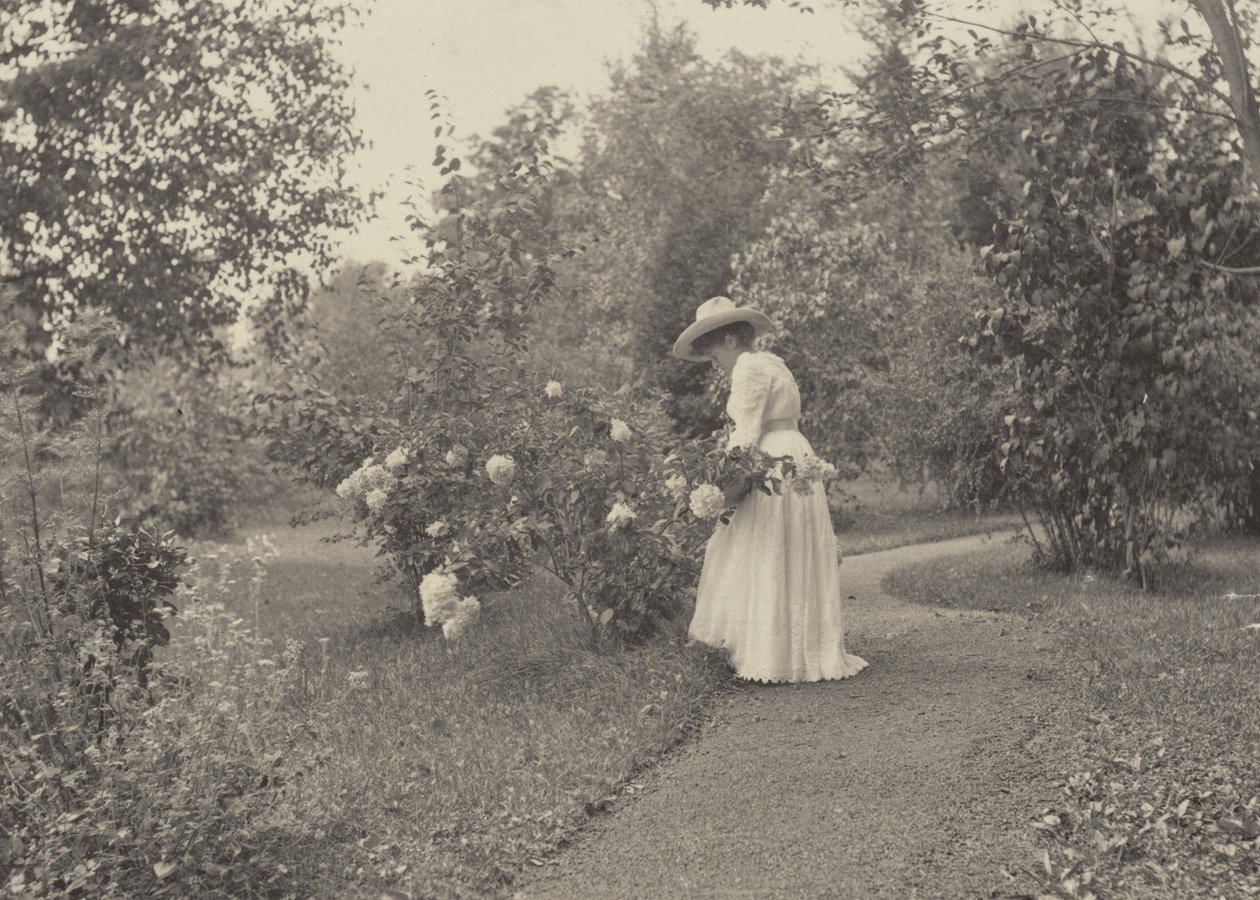 En Oaklawn de Alfred Stieglitz