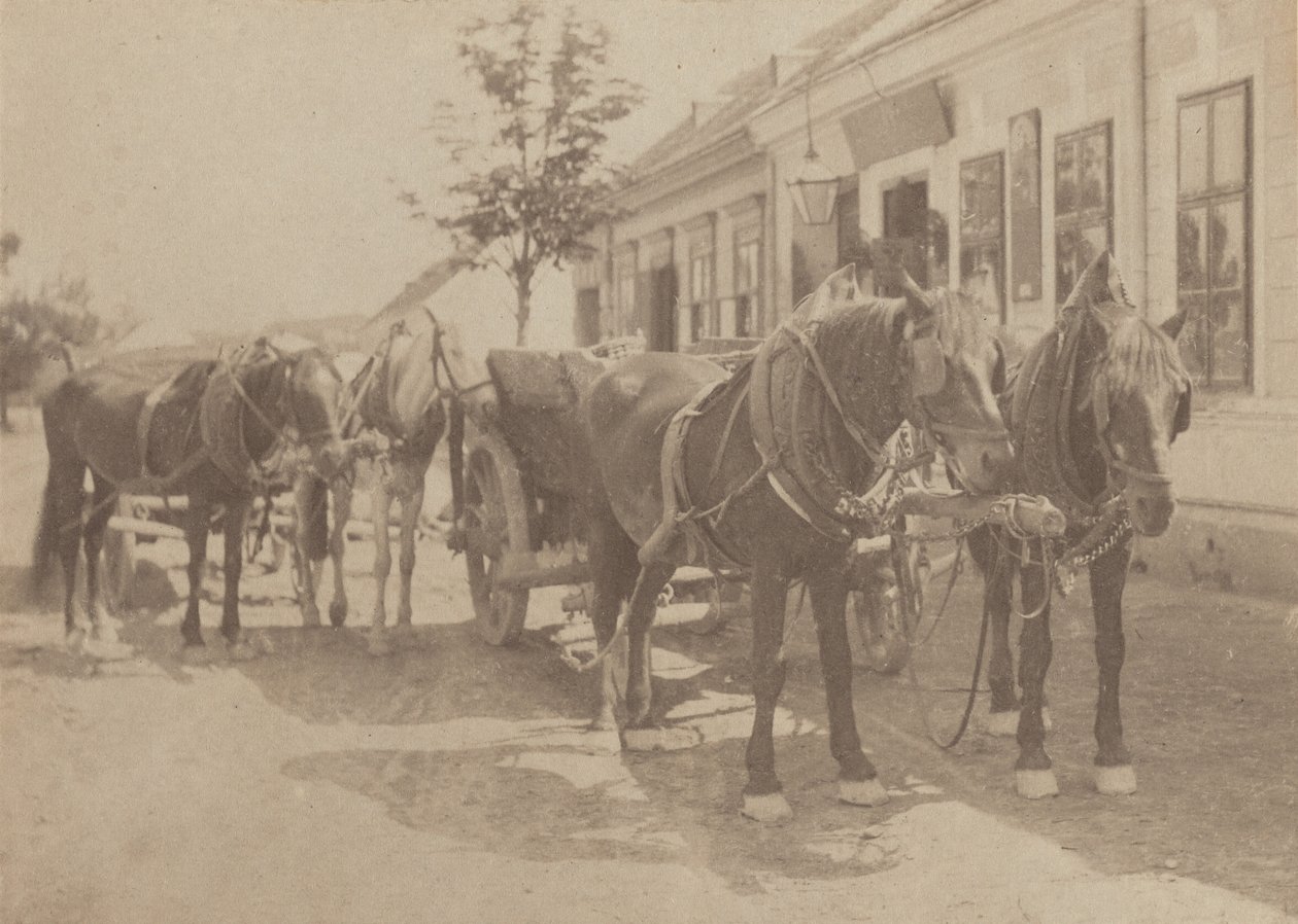 Delante de la taberna de Alfred Stieglitz