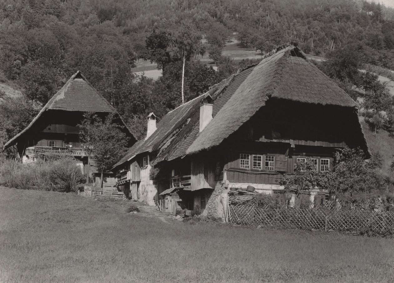 Casa del Bosque Negro de Alfred Stieglitz