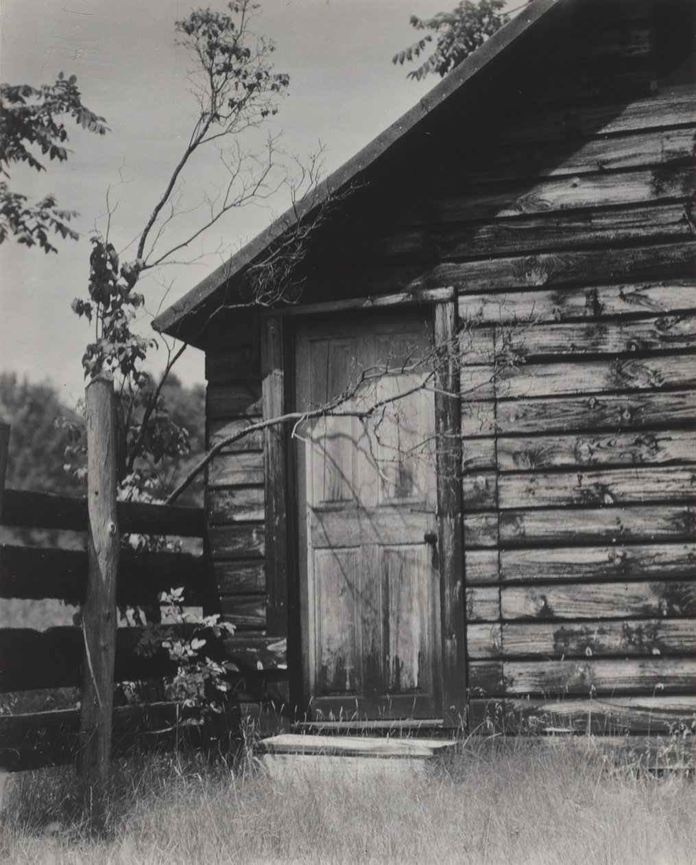 Puerta de una cabaña, lago George de Alfred Stieglitz