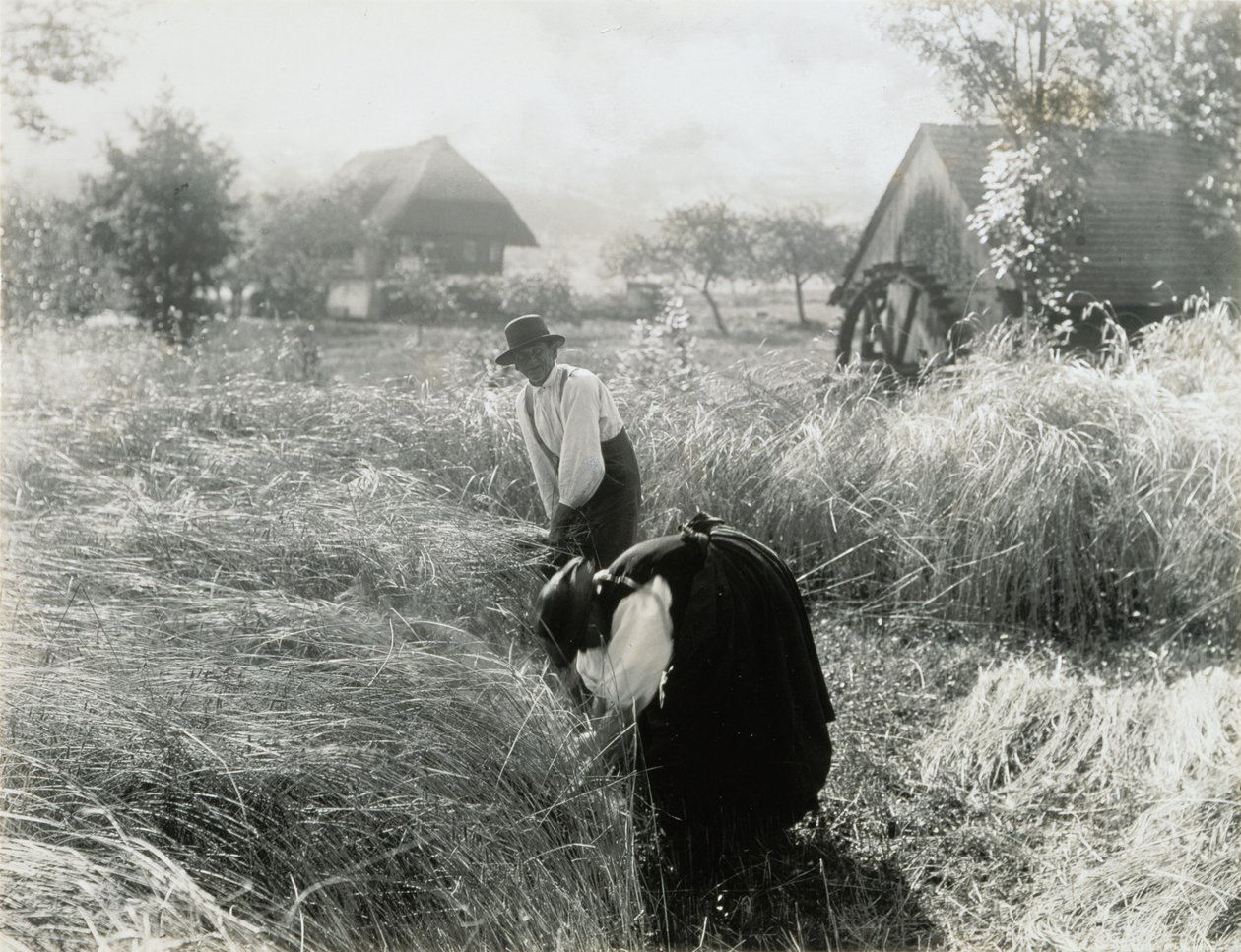 A primera hora de la mañana de Alfred Stieglitz