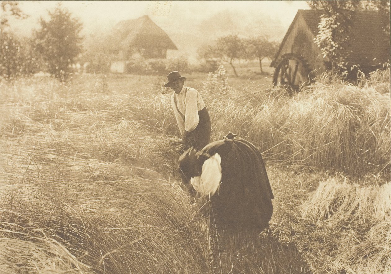 Mañana temprana de Alfred Stieglitz