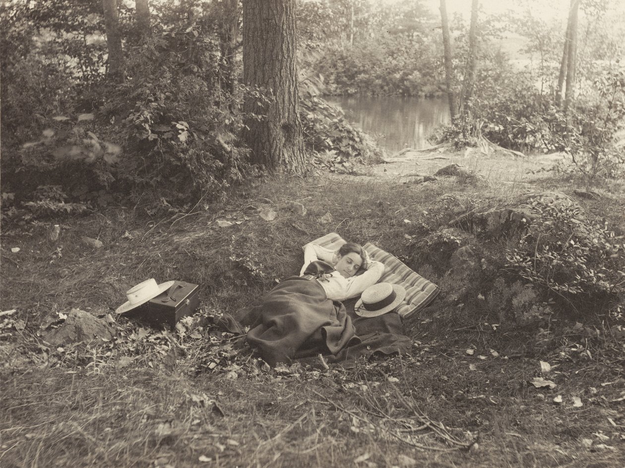 Emmy Obermeyer, Tea Island, lago George de Alfred Stieglitz