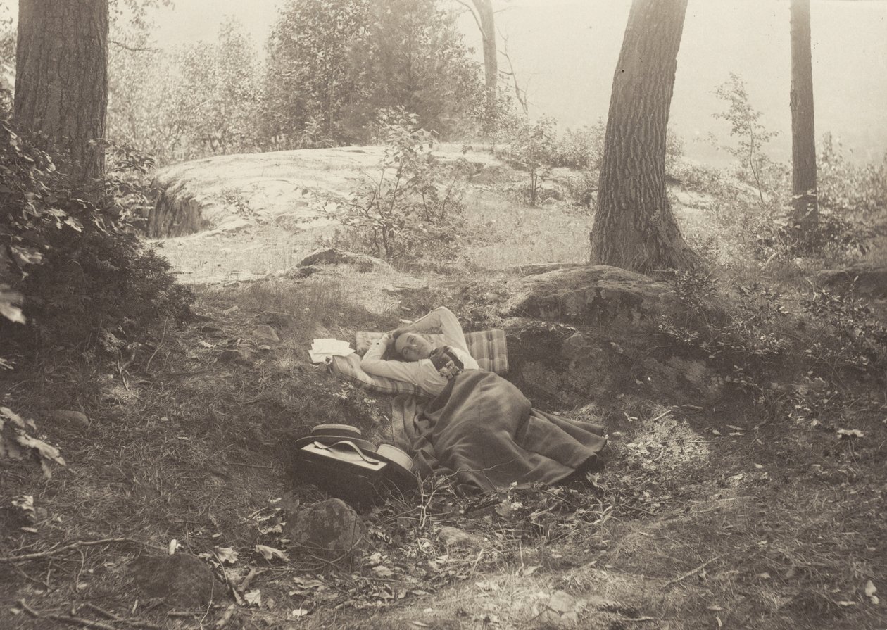 Emmy Obermeyer, Tea Island, lago George de Alfred Stieglitz