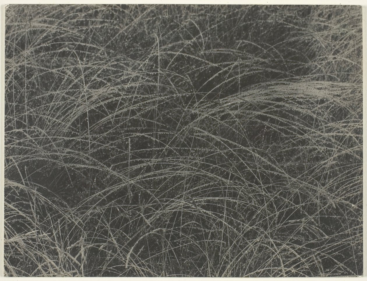 Equivalente, 1927 de Alfred Stieglitz