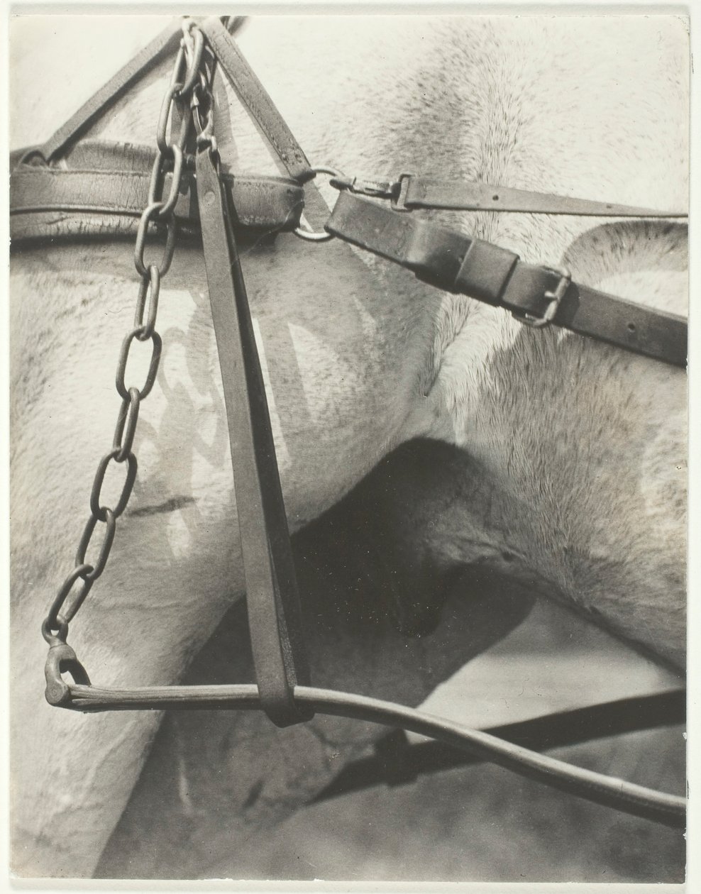 Equivalente, América Espiritual, 1923 de Alfred Stieglitz