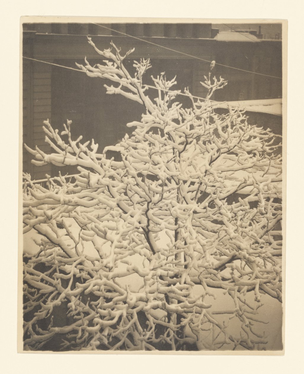 Desde la ventana trasera del 291 de Alfred Stieglitz