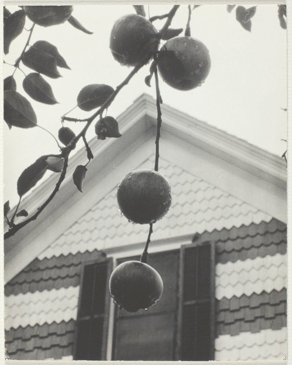 Gable y manzanas de Alfred Stieglitz