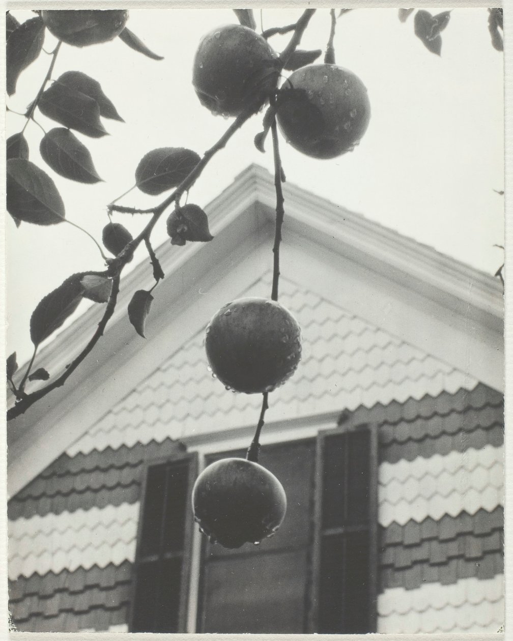 Gable y Manzanas de Alfred Stieglitz