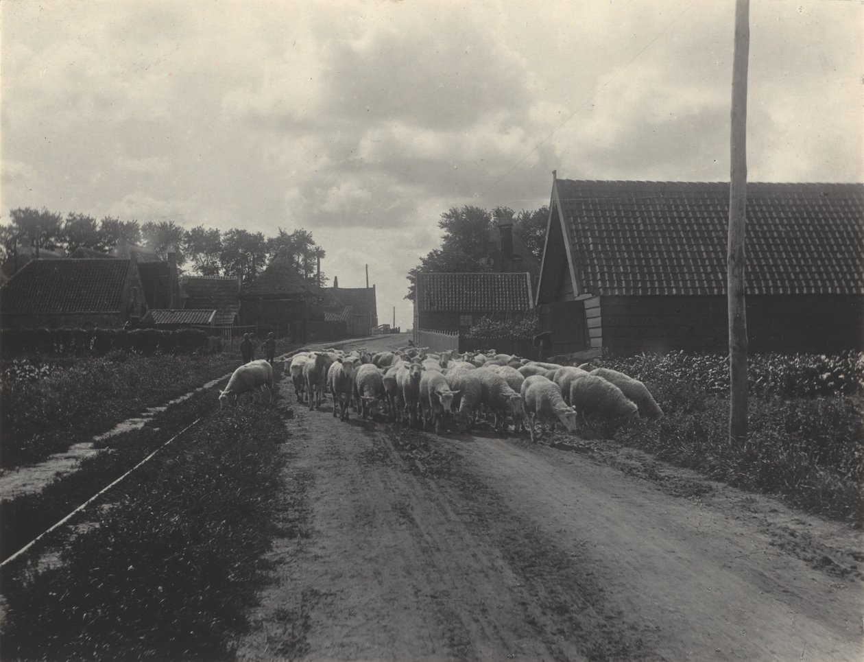 Camino al pasto de Alfred Stieglitz