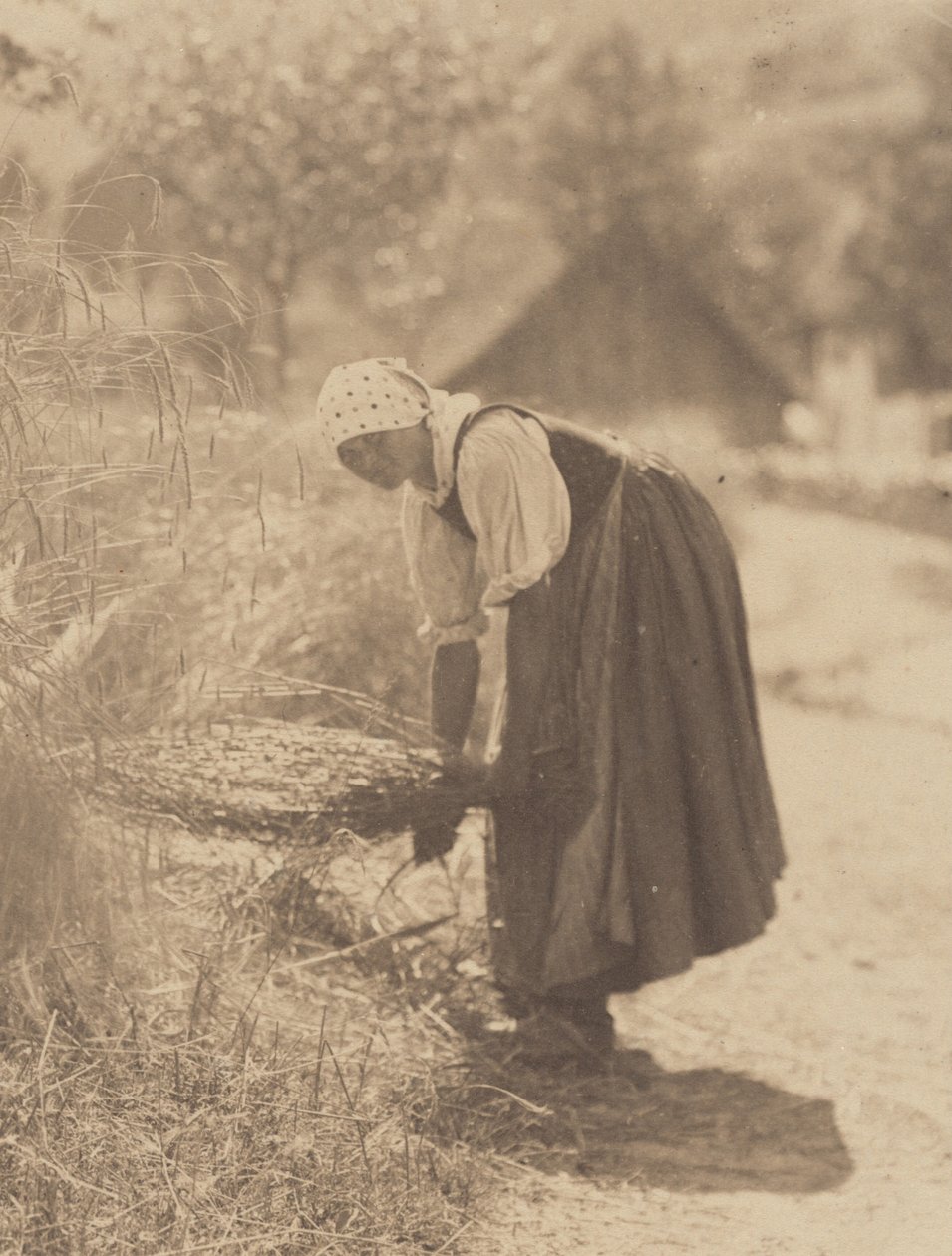 Cosecha de Alfred Stieglitz