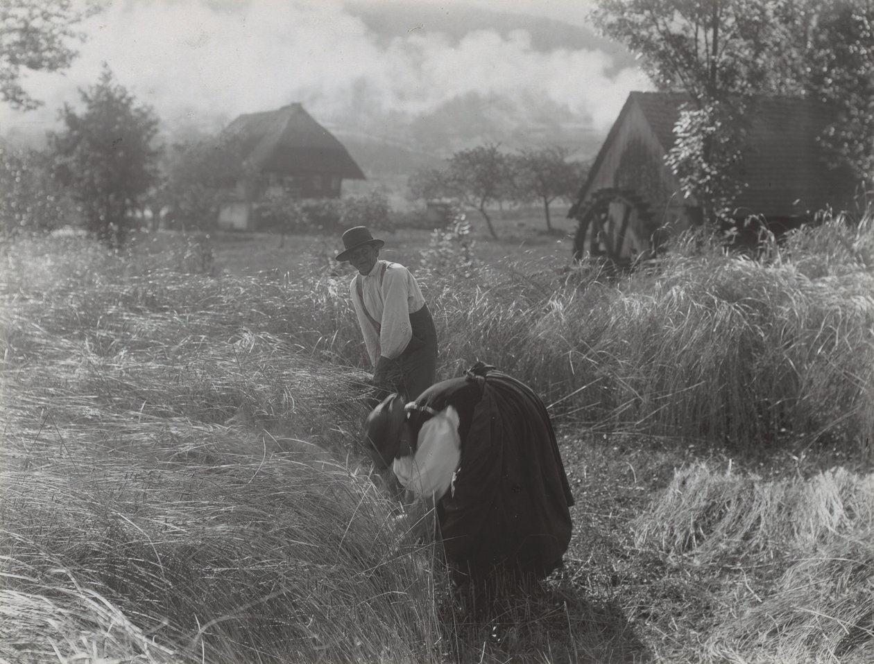 Cosecha, Selva Negra de Alfred Stieglitz