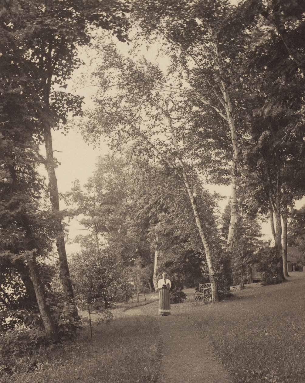 Sendero de Hedwig, Oaklawn, lago George de Alfred Stieglitz