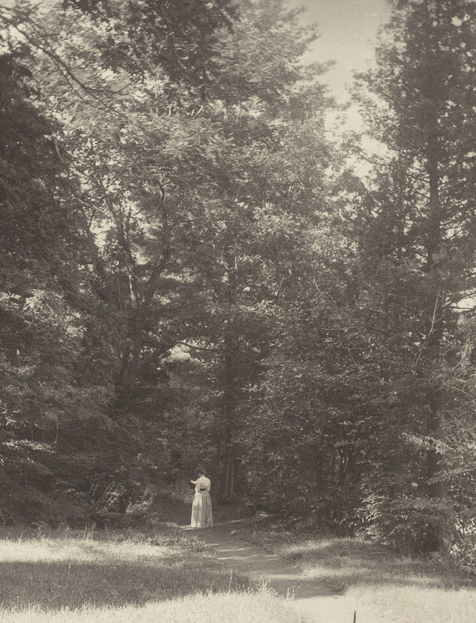 «Hedwigsweg» II, Lake George de Alfred Stieglitz