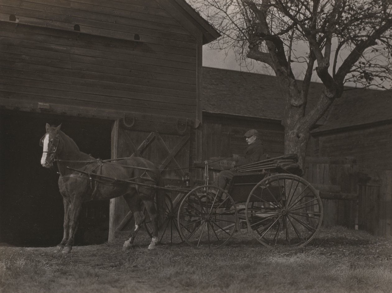 Caballo y carruaje de Alfred Stieglitz