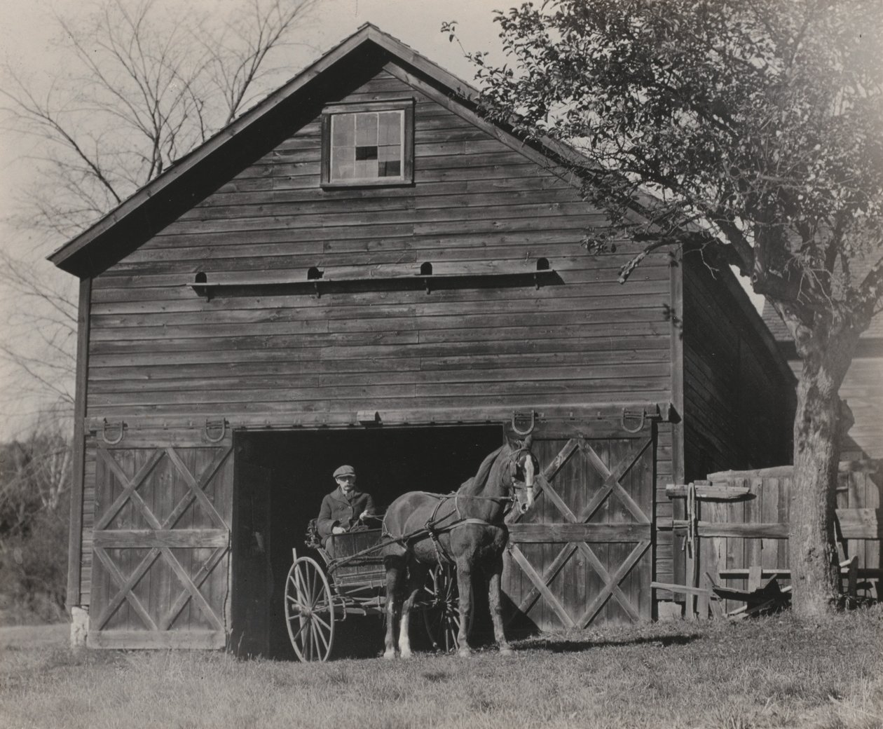 Caballo y carruaje de Alfred Stieglitz