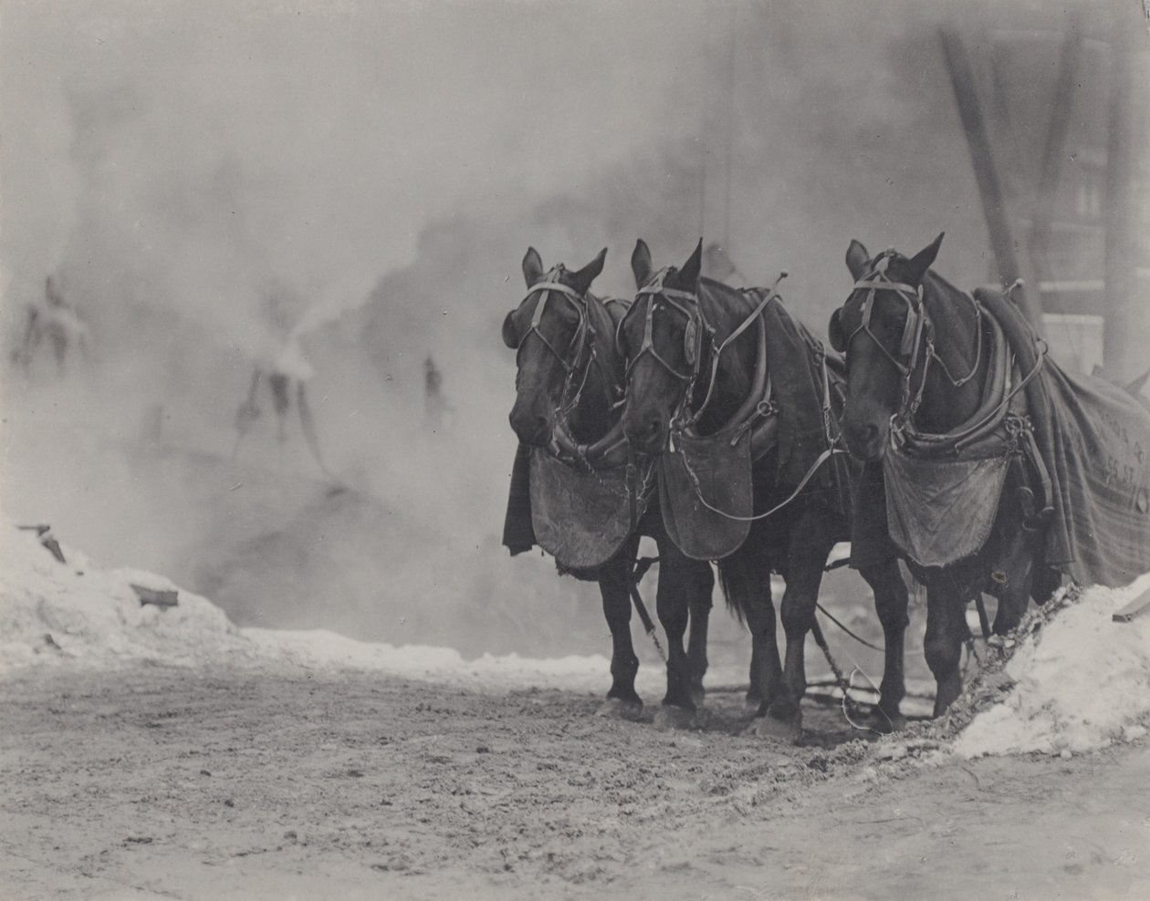 Caballos, Nueva York de Alfred Stieglitz