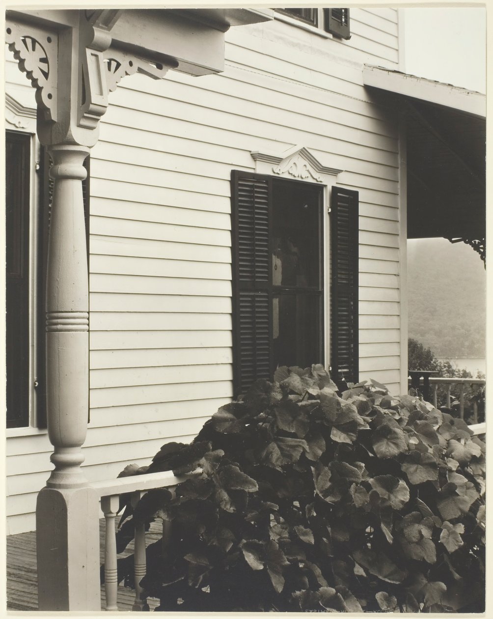 Casa y hojas de uva de Alfred Stieglitz