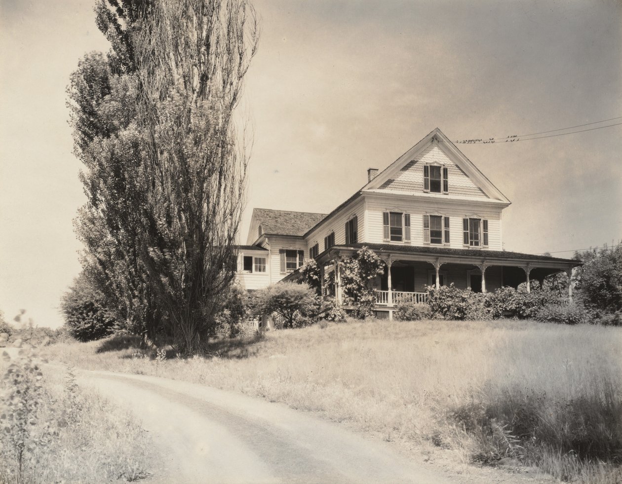 Casa y álamos, Lake George de Alfred Stieglitz