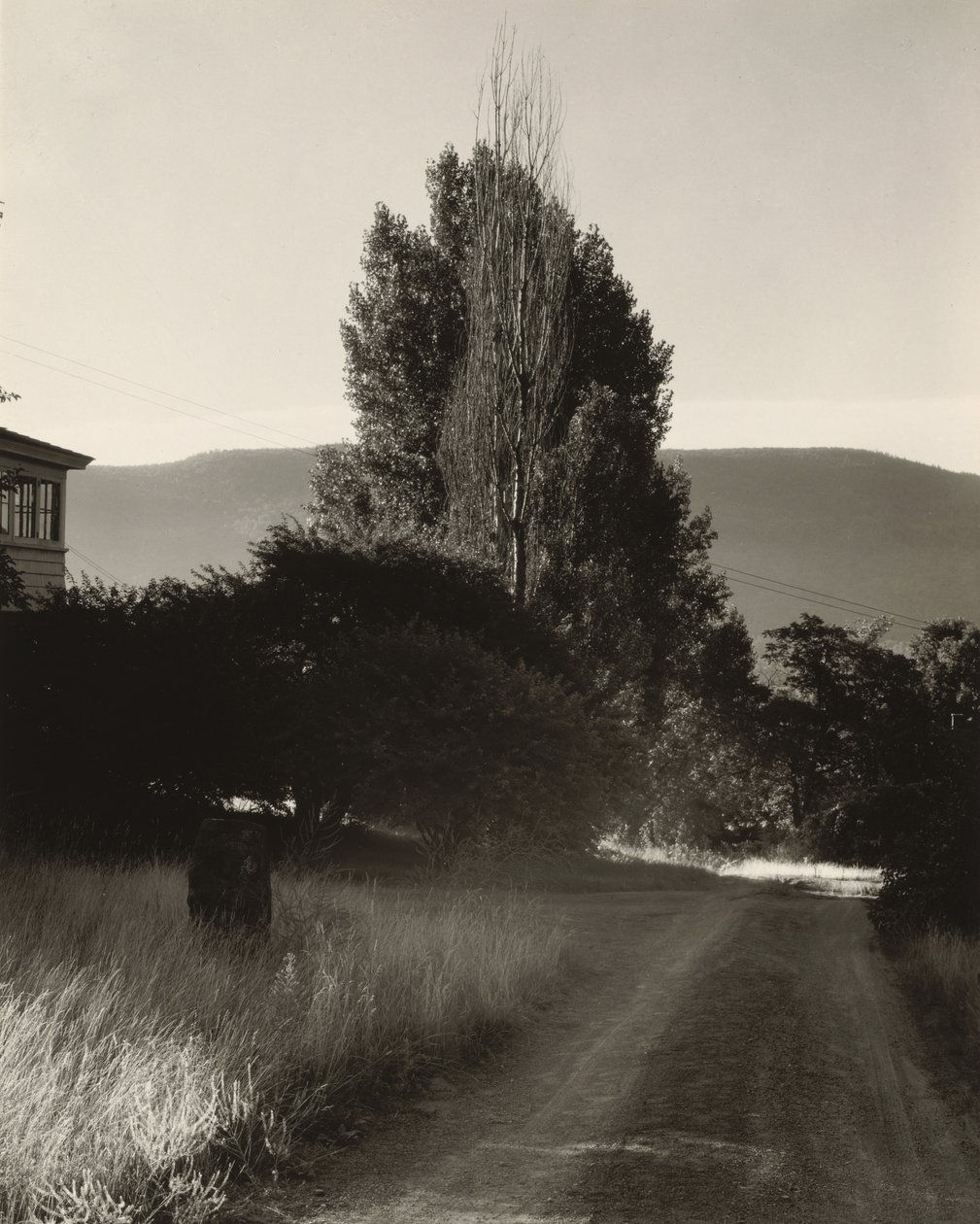 Casa y álamos, lago George de Alfred Stieglitz