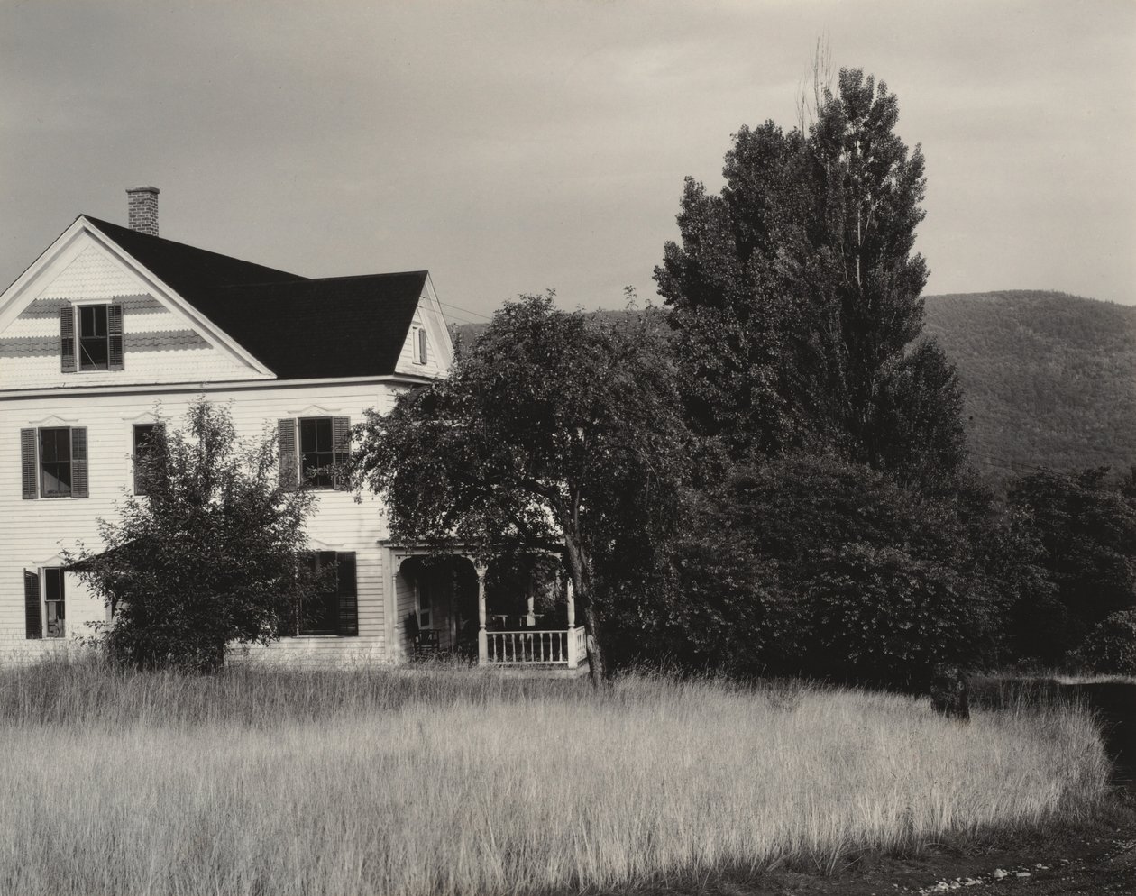 Casa y árboles, Lake George de Alfred Stieglitz