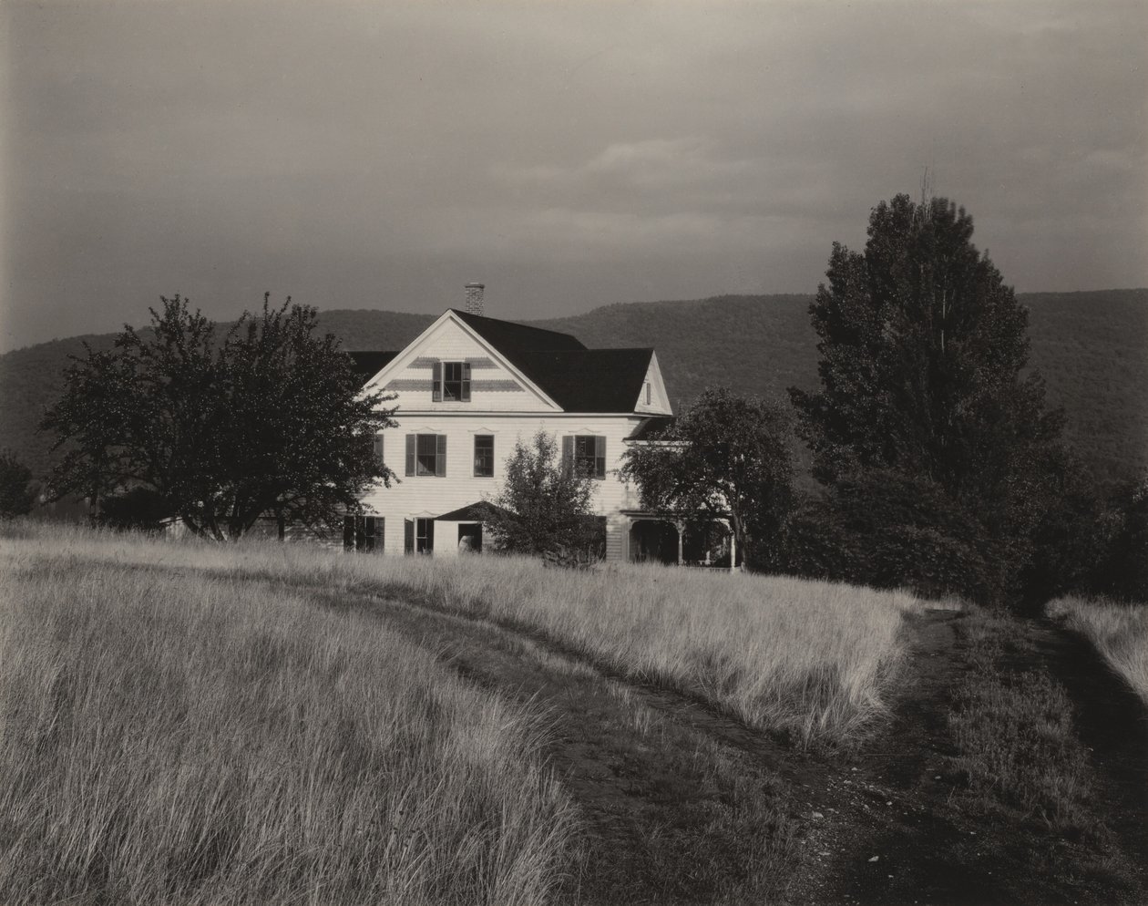 Casa y árboles, Lake George de Alfred Stieglitz