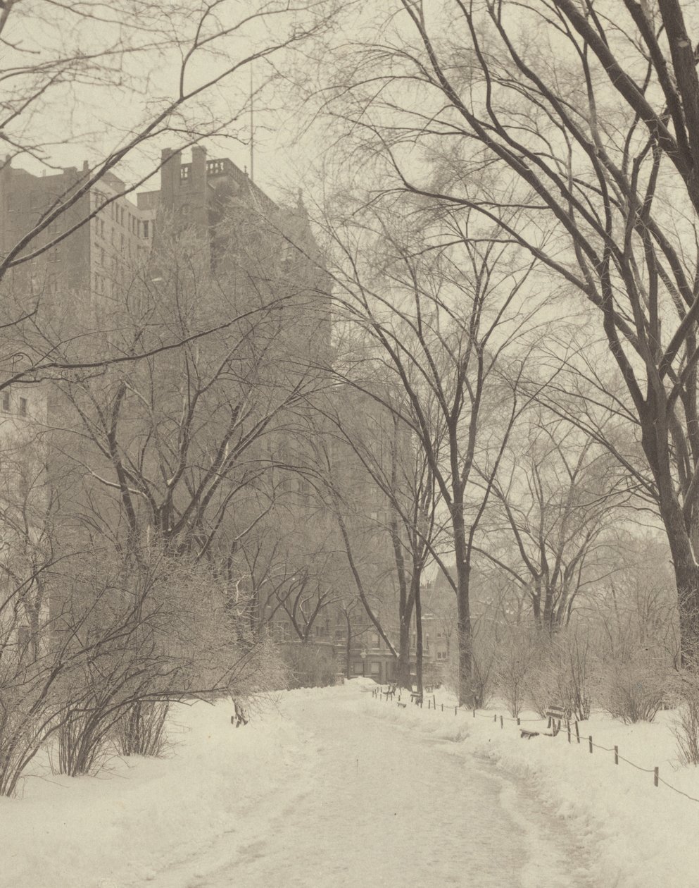 En el parque de Alfred Stieglitz
