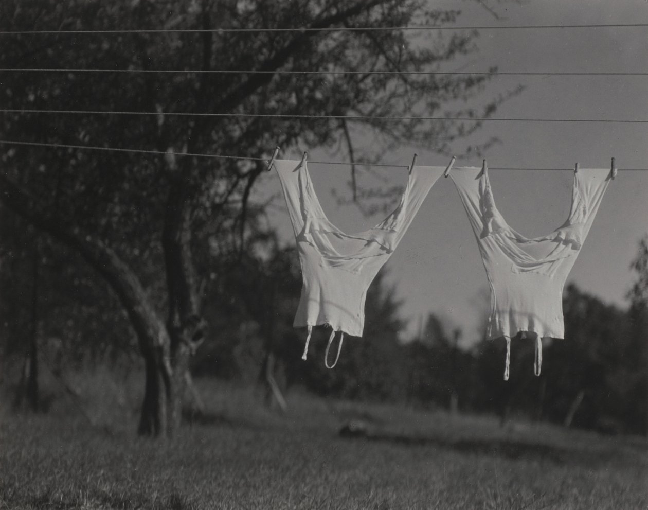 Ropa interior larga, lago George de Alfred Stieglitz