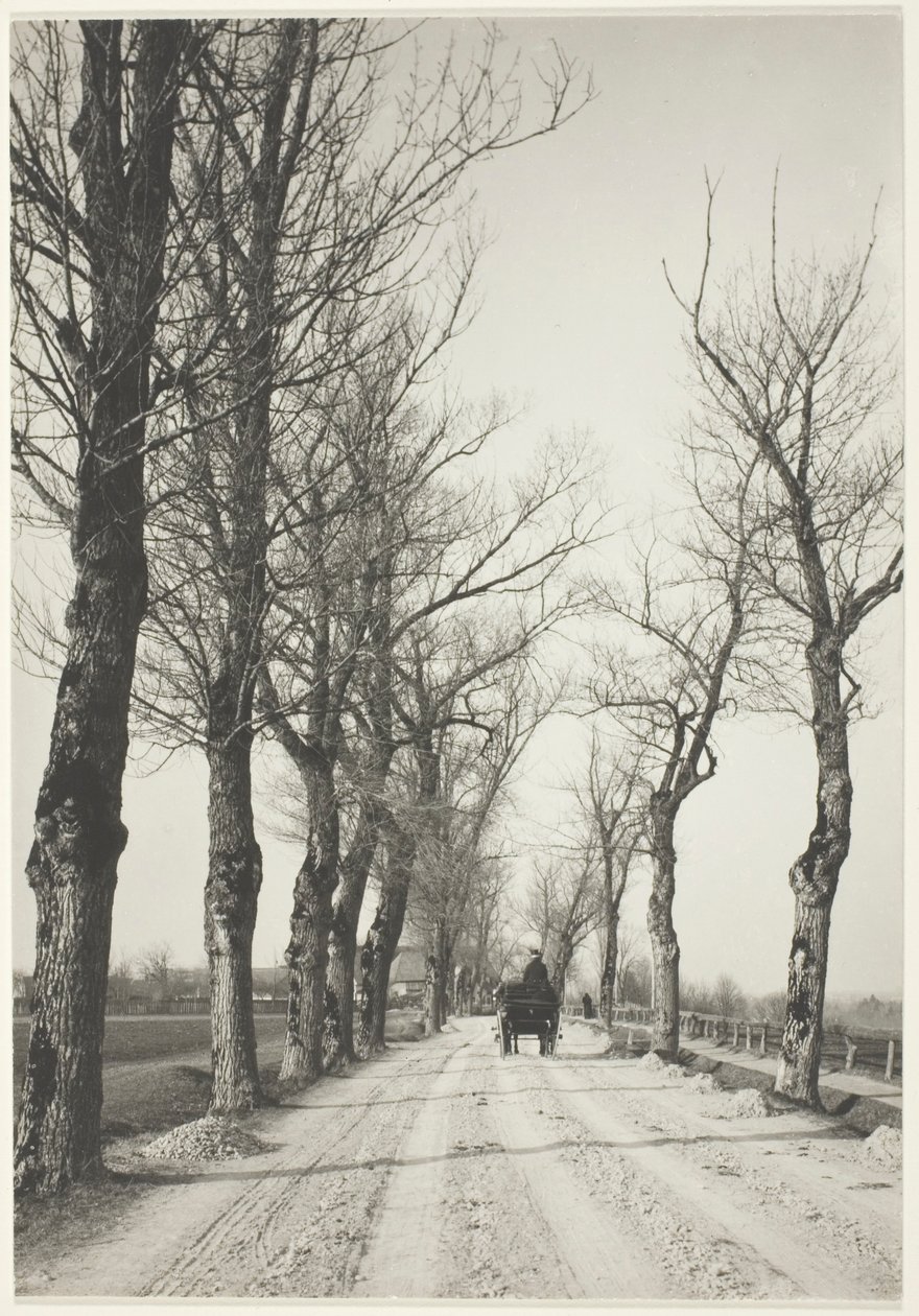 Días de noviembre de Alfred Stieglitz