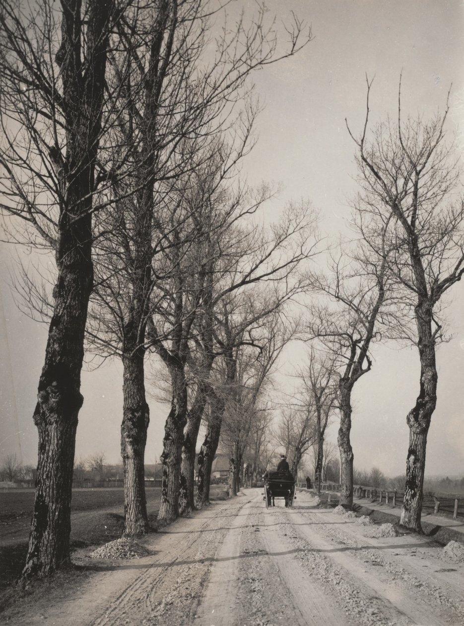 Días de noviembre de Alfred Stieglitz