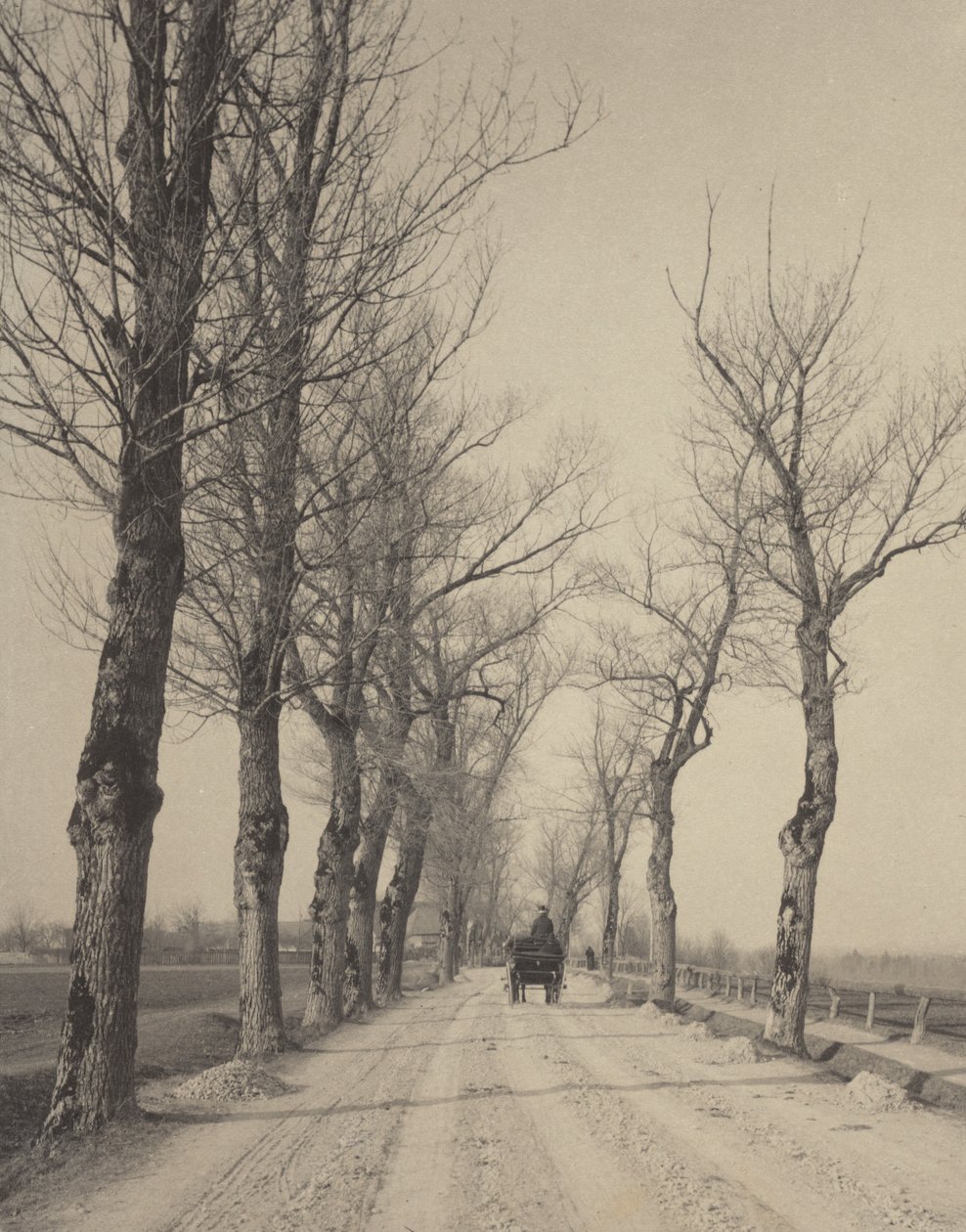 Días de noviembre de Alfred Stieglitz