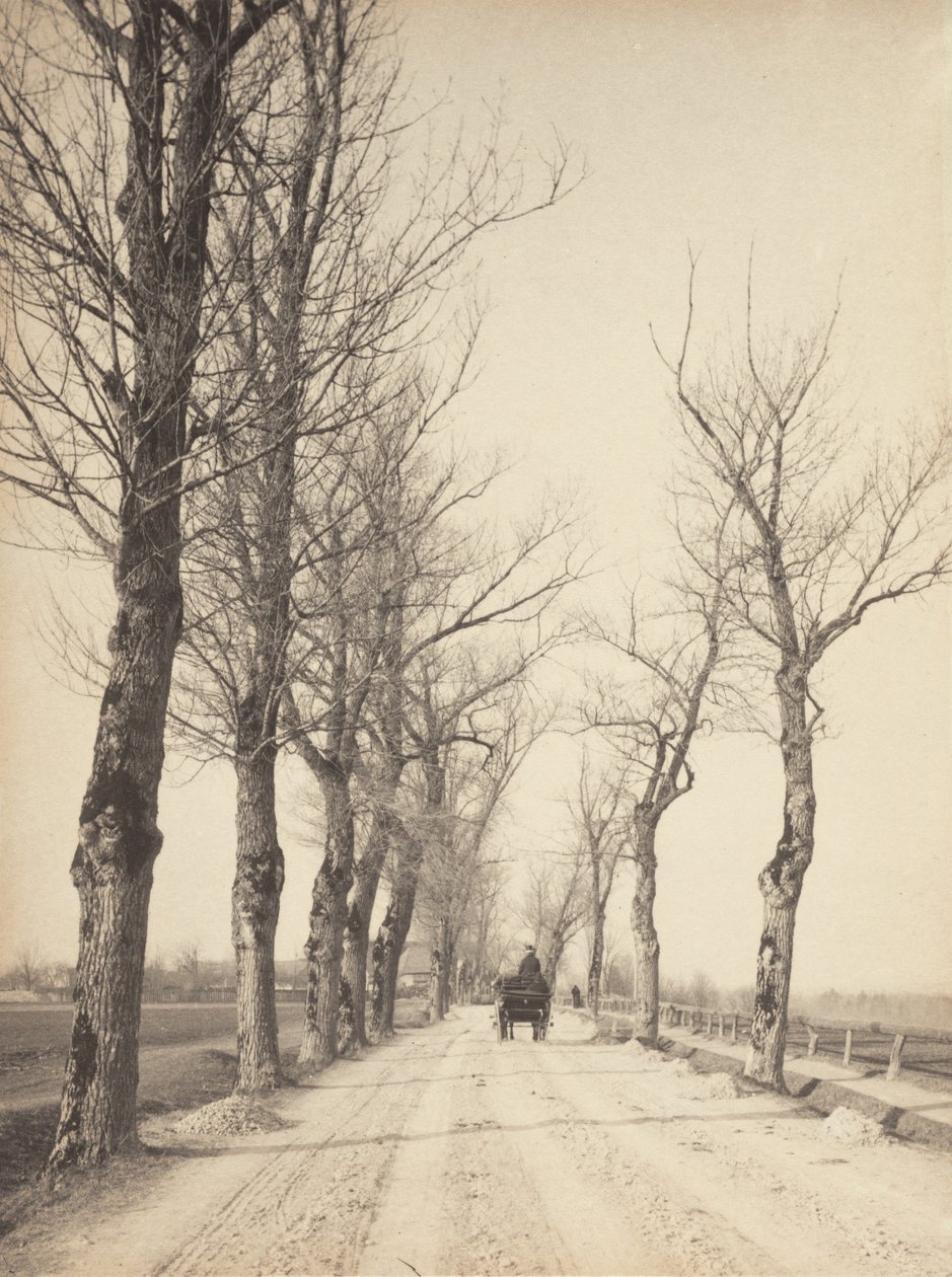 Días de noviembre de Alfred Stieglitz