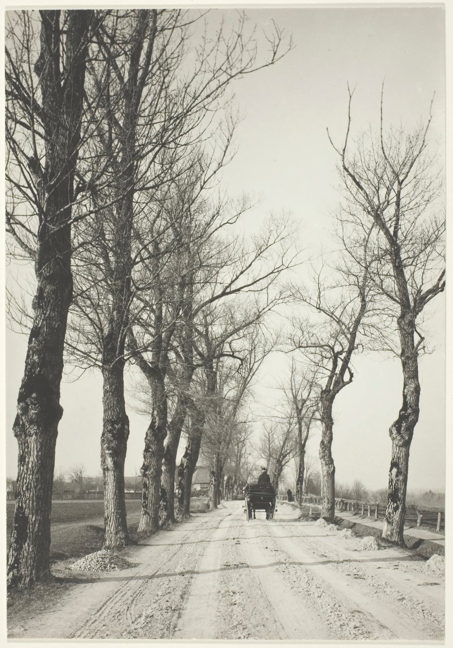 Días de noviembre, 1887, impreso 192039 de Alfred Stieglitz