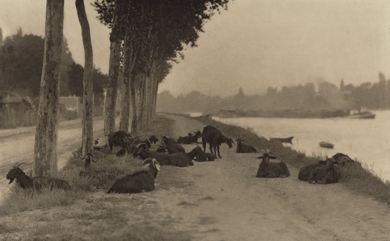 A orillas del Sena, cerca de París de Alfred Stieglitz