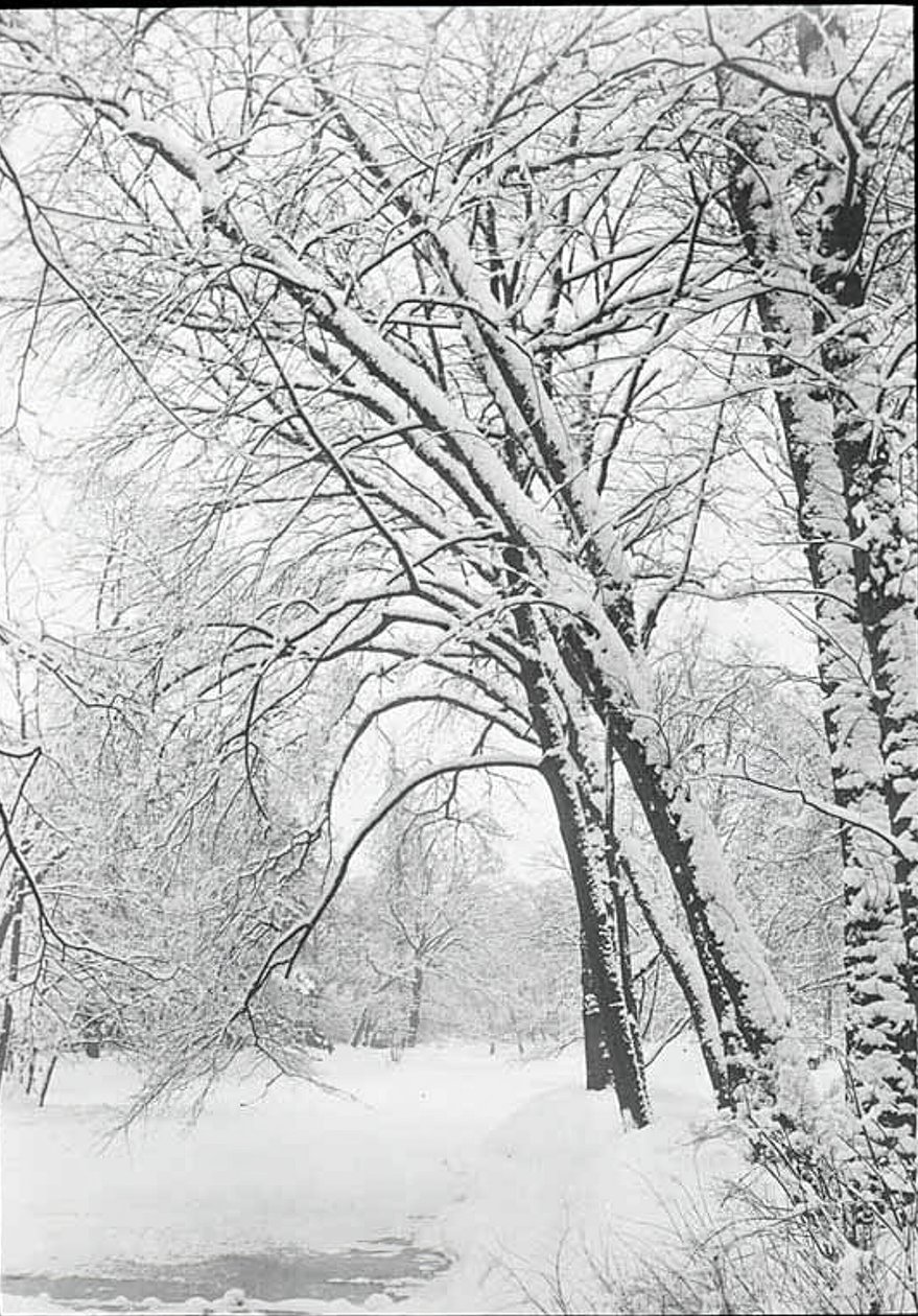Paisaje nevado, Berlín, 188892 de Alfred Stieglitz