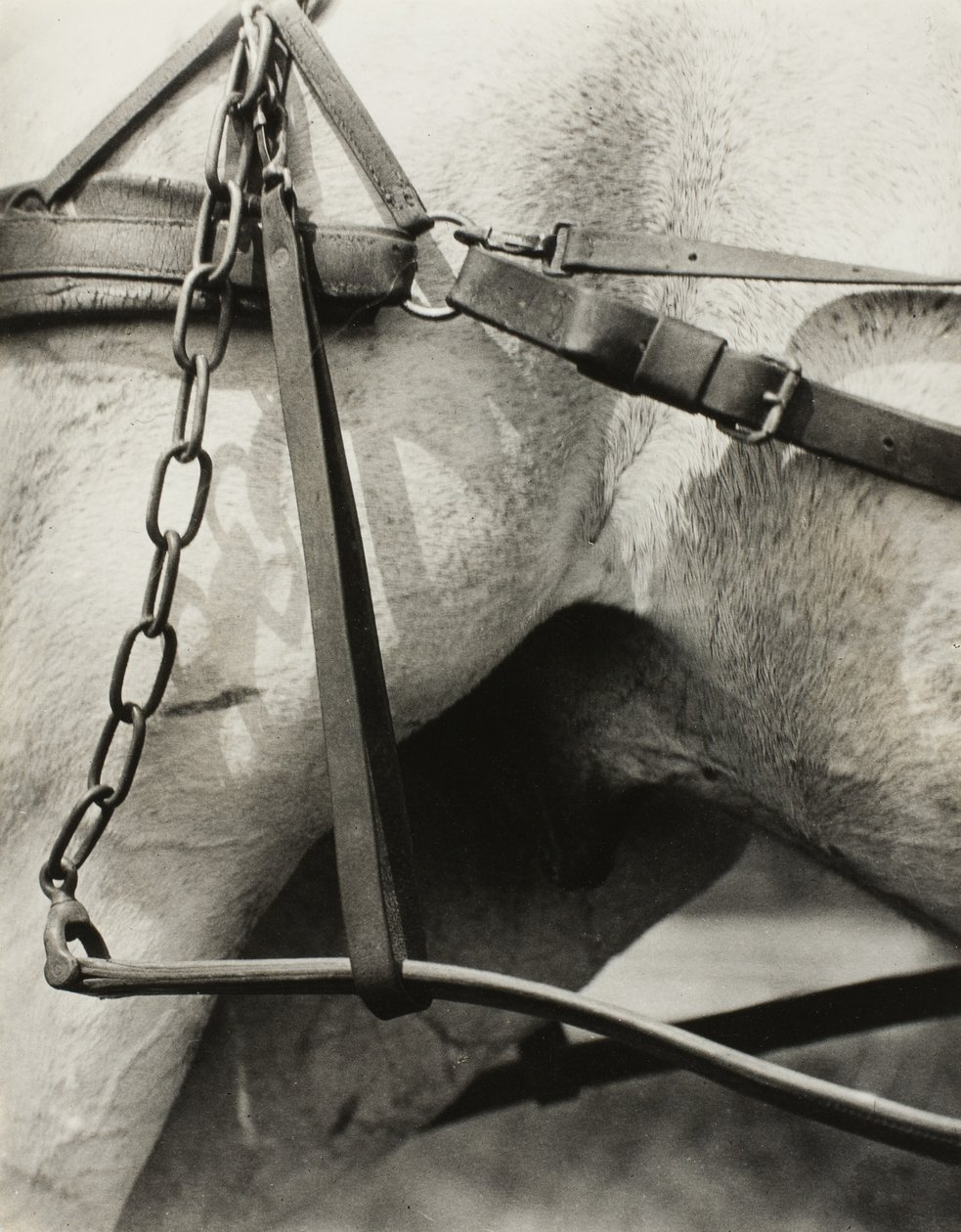 América espiritual: Canciones del cielo A1 de Alfred Stieglitz
