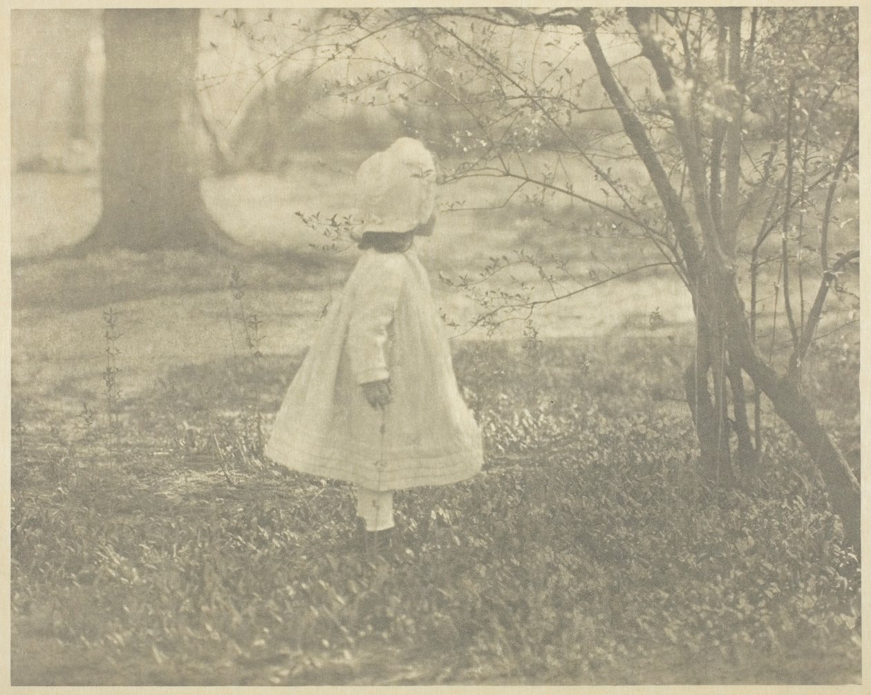 Primavera - El Niño de Alfred Stieglitz