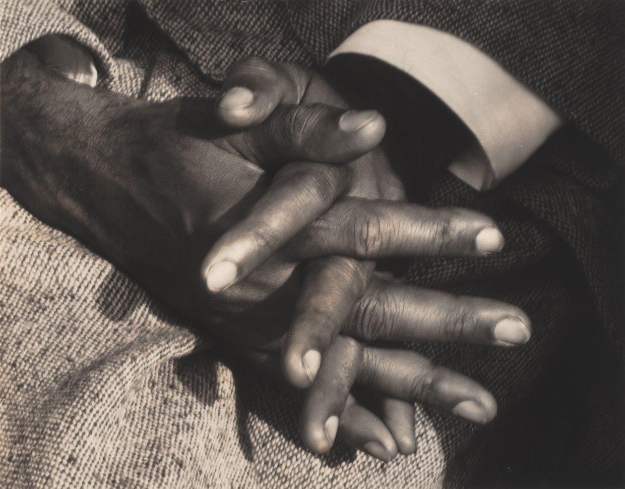 Señor de la Plenitud de Alfred Stieglitz